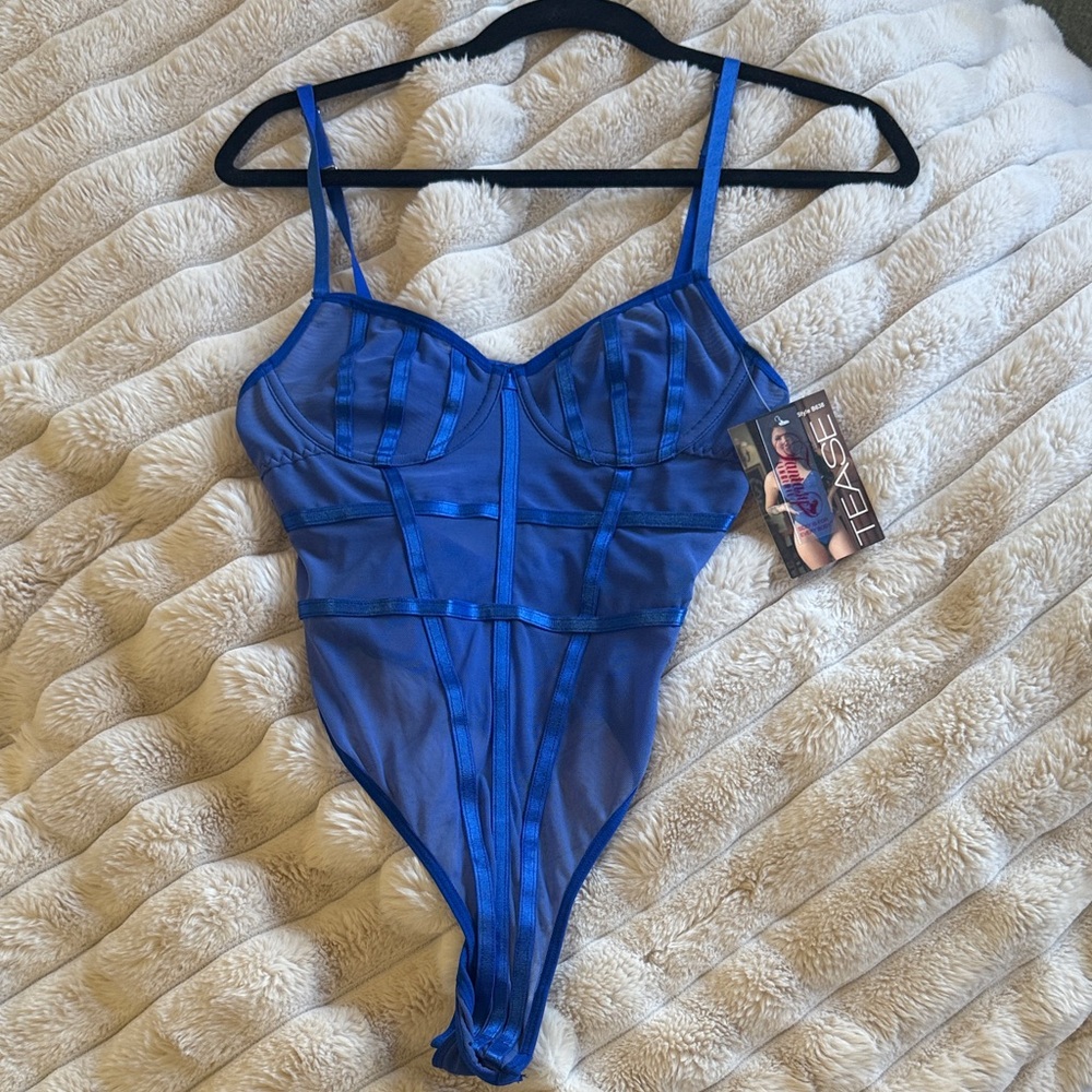 Elegant Blue Sheer Chemise